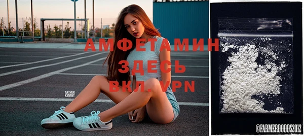 амф Аркадак