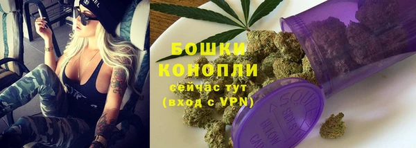 амф Аркадак